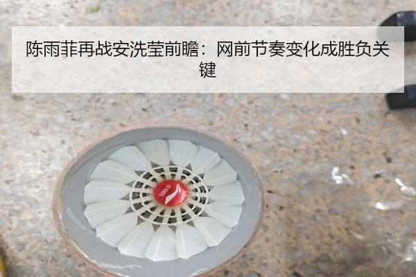 陈雨菲再战安洗莹前瞻：网前节奏变化成胜负关键